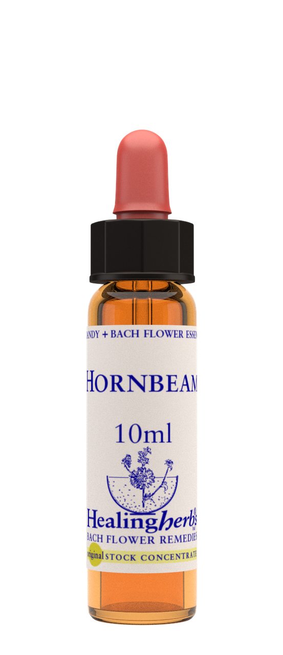 

Цветы Баха. HORNBEAM - Граб (№ 17) Healing Herbs