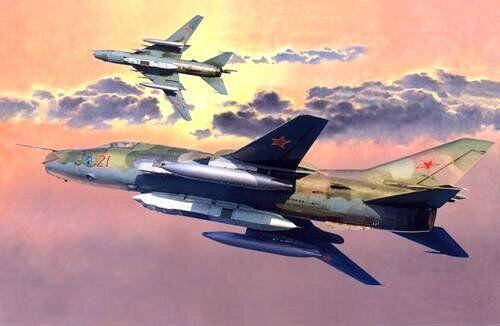 

Су-17 М3. Сборная модель самолета в масштабе 1/72. MISTER CRAFT D-19