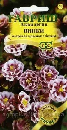 

Семена Аквилегия (водосбор) Винки Красная с белым 5 семян Гавриш