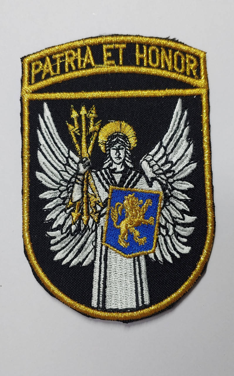 

Шеврон ВІТІ Patria et honor