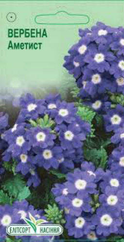 

Семена Вербены Аметист 0,1 г