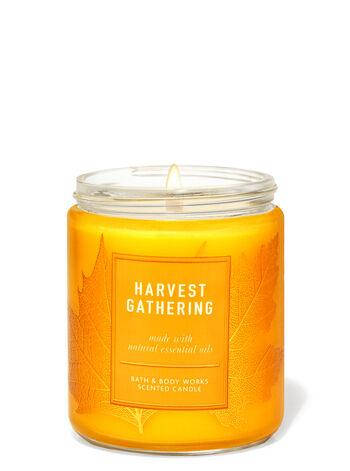 

Ароматизированная свеча Harvest Gathering Bath & Body Works, Белый