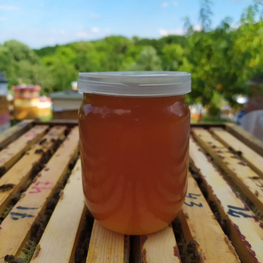 

Мед разнотравье