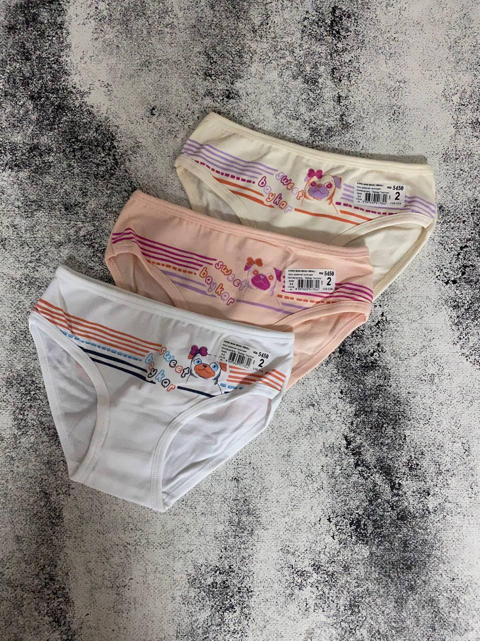 

Детские трусики для девочек Baykar красивые турецкие хб трусы слип для девочки набор 3 шт с собачкой Арт 5450, Разные цвета
