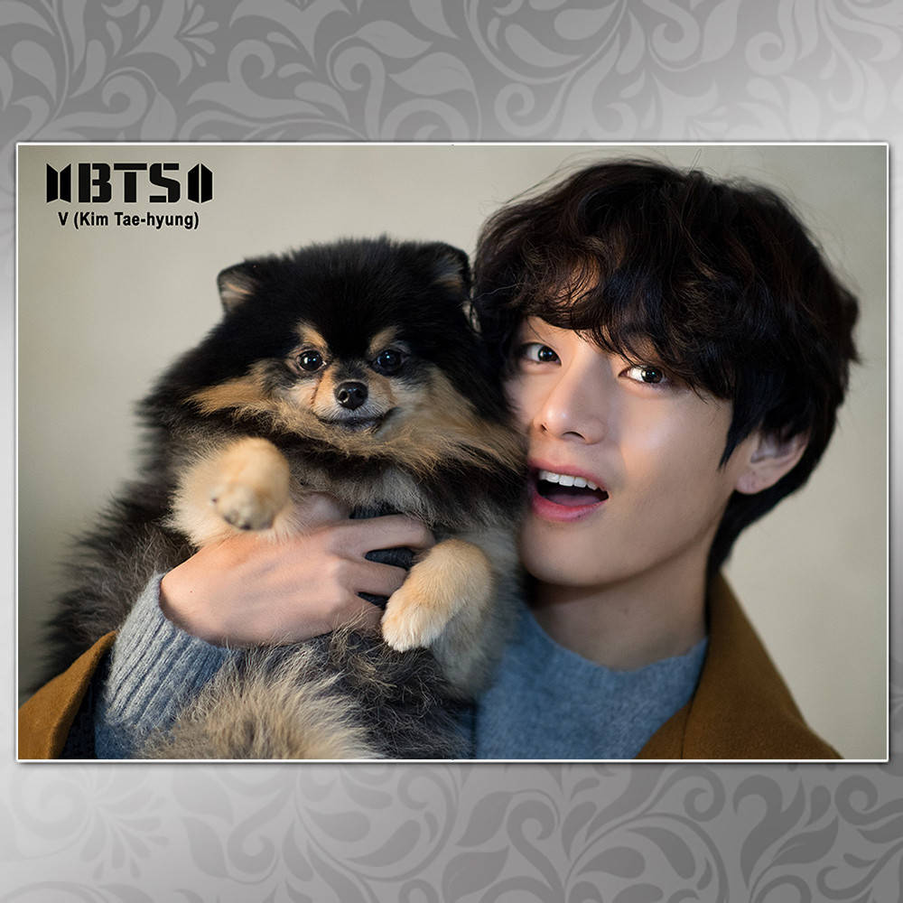 

Плакат K-Pop BTS 531 V