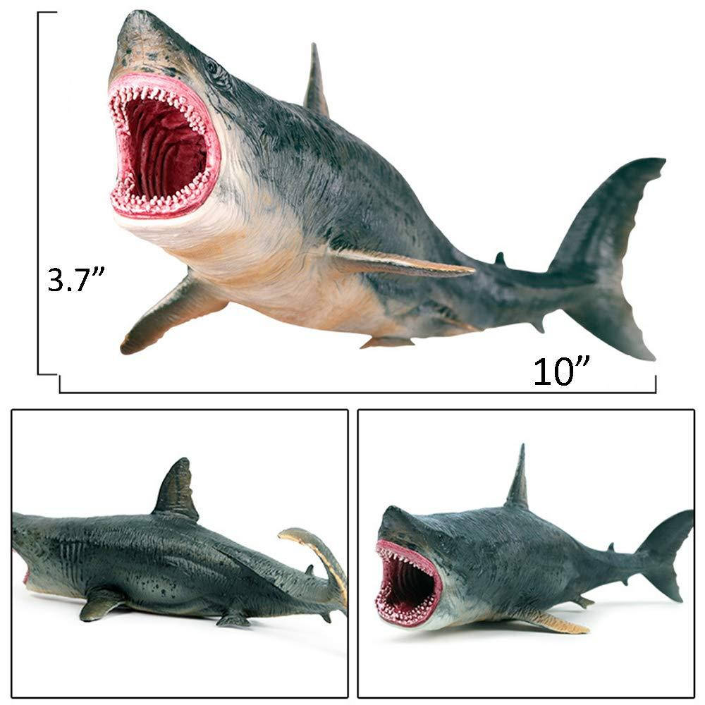 

Большая акула Мегалодон Megalodon