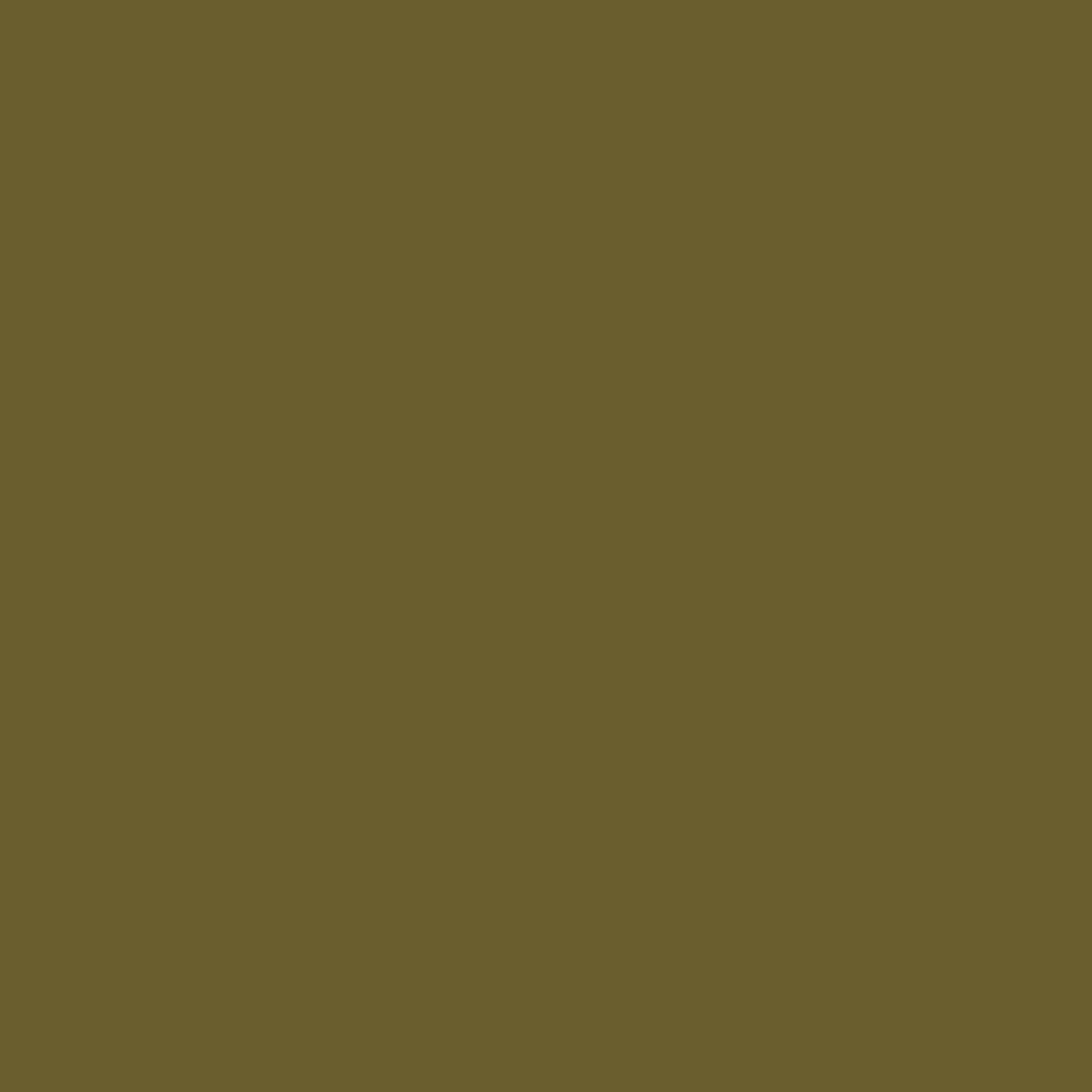 

Маскувальна матова фарба VA104 TAN -1L (Словенія), Хаки