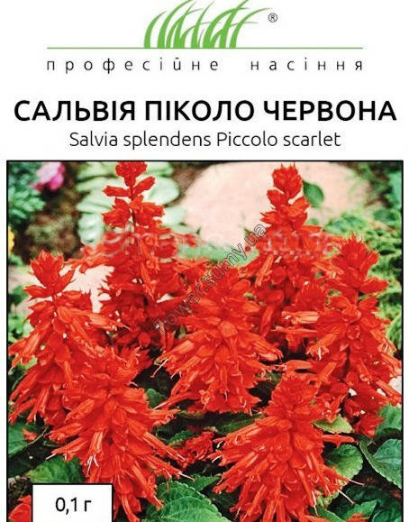 

Семена Сальвия Пиколо Красная 0,1 грамма Hem Zaden, Красный