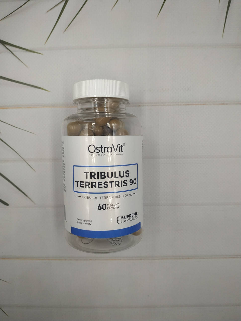 

OstroVit Tribulus TERRESTRIS 90% 60 caps