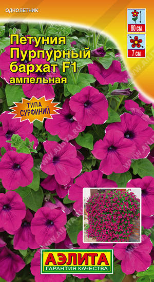 

Семена Петуния многоцветковая стелющаяся каскадная Пурпурный Бархат F1, 5 семян Аэлита
