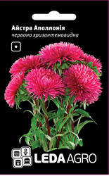 

Семена астры Аполлония, 0,2 гр., красная, хризантемовидная, Красный