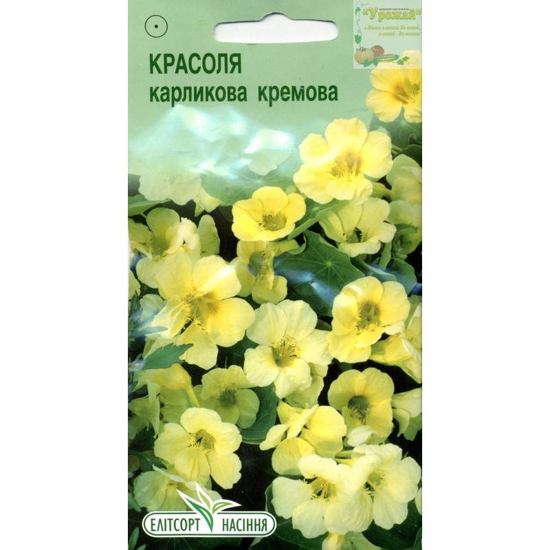 

Семена цветы Настурция карликовая кремовая, 10 семян