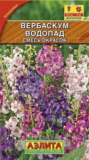 

Семена Вербаскум Водопад смесь окрасок 0,1 грамма Аэлита, Разные цвета
