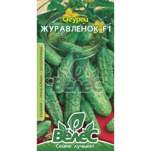 

Семена огурца Журавленок F1 0,5г ТМ ВЕЛЕС