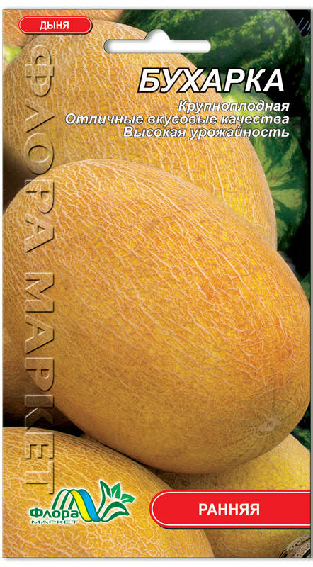 

Дыня Бухарка