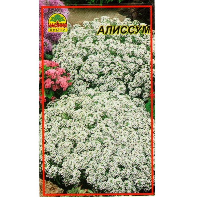 

Семена Алиссум 0.1 г (Насіння країни)