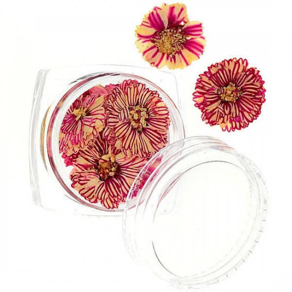 

Сухоцветы №54, Розовый