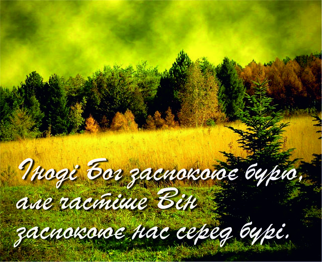 

Міні-листівка: Іноді Бог заспокоює бурю, але частіше Він ... # 119