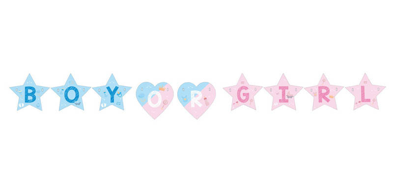 

Гирлянда "Беби шауэр/Baby shower Гендер пати (Розово-голубая)