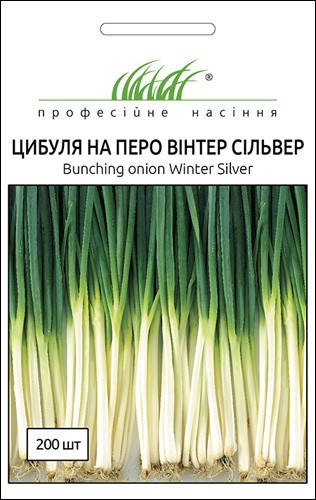 

Семена Лук на перо Винтер Сильвер 200 семян Nong Woo Bio