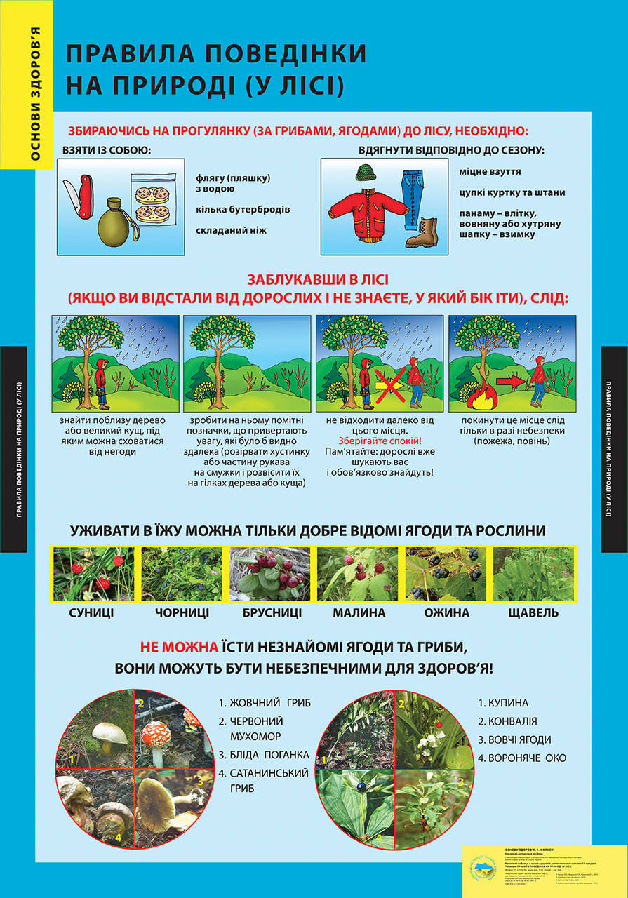 

ПЛАКАТ Правила поведінки на природі (у лісі)