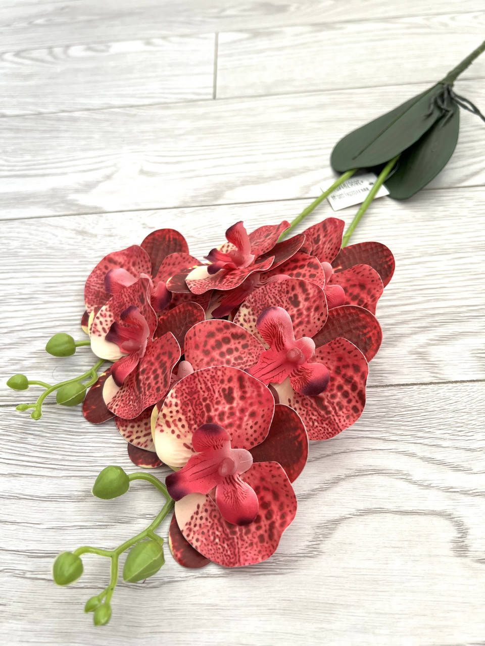 

Орхидея декоративная из латекса с листиками и корешками ( 55 см )