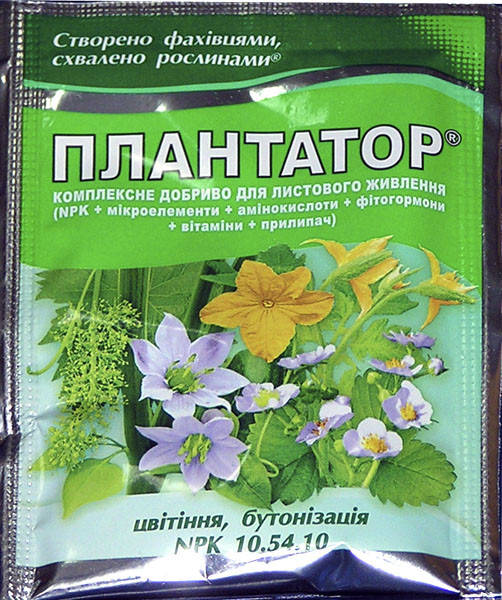 

Плантатор Цвітіння (10.54.10) (25г)