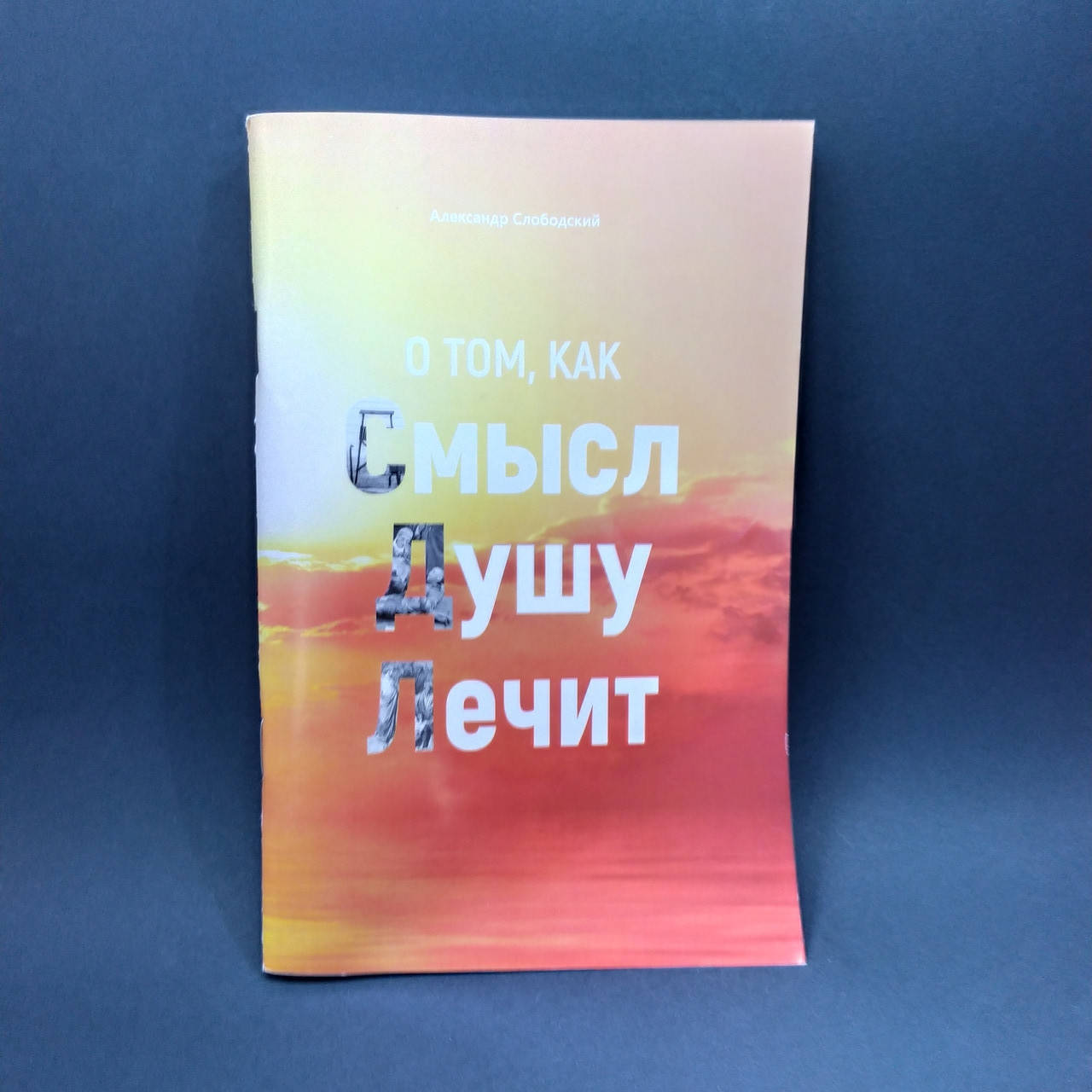 

О том, как смысл душу лечит