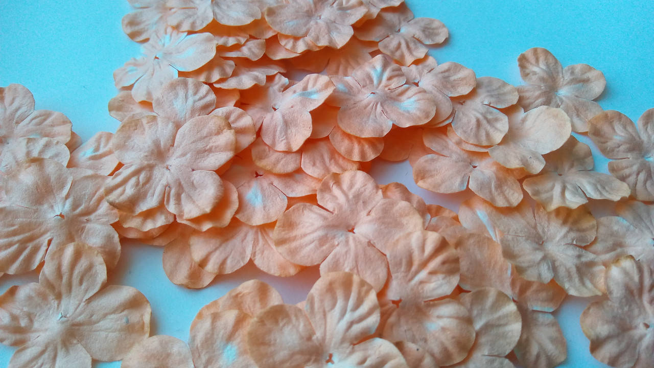 

Цветы "Гортензия" Поштучно