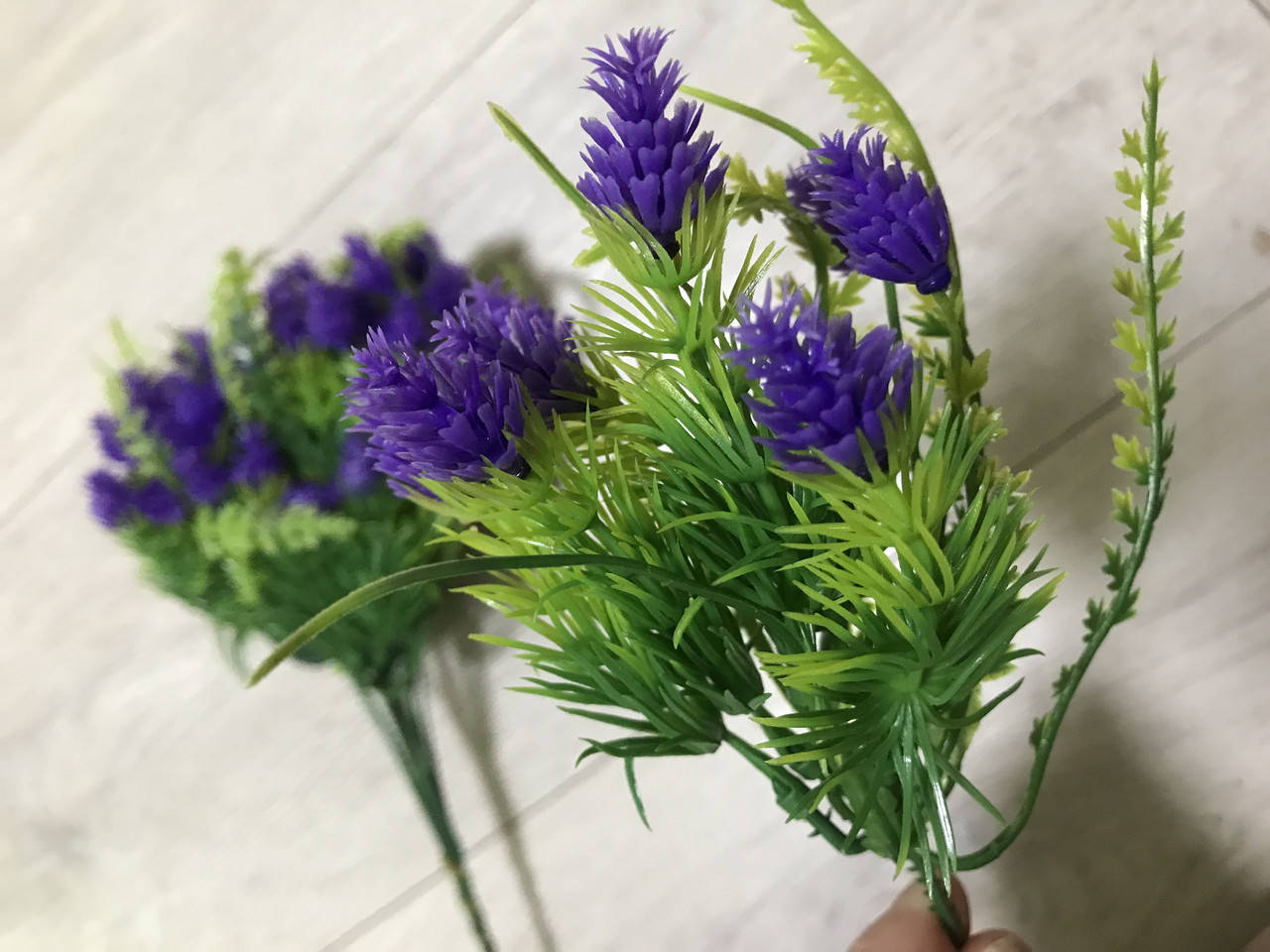 

Зелень декоративная для цветочных композиций