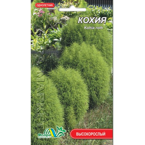 

Кохия цветы однолетние, семена 0.3 г, Красный