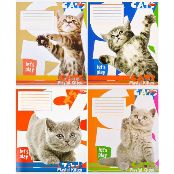 

Тетрадь 18л. клетка