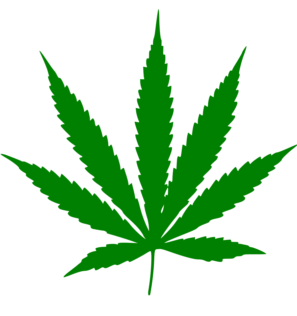 

Cannabis type (MARY JANE) 10ml