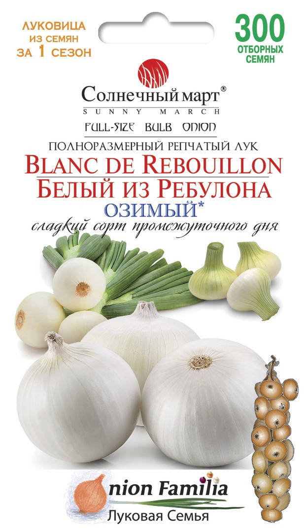 

Лук Белый из Ребулона, 300шт.