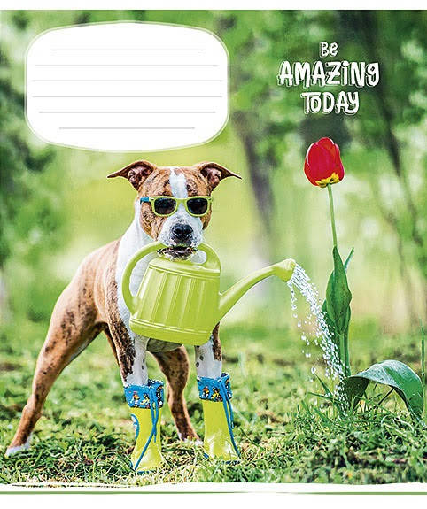 

Зошит 12арк. лін. Школярик "Be amazing today" №012-2863L(30)(300)