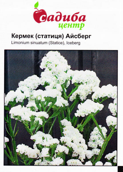 

Семена Кермек Айсберг, белый 0,1 г