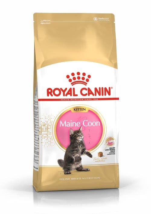 

Royal Canin Maine Coon Kitten (Роял Канин Киттен мейн кун) сухой корм для котят