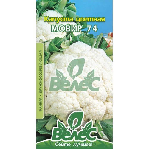 

Семена капусты цветной Мовир 74 0,3г ТМ ВЕЛЕС