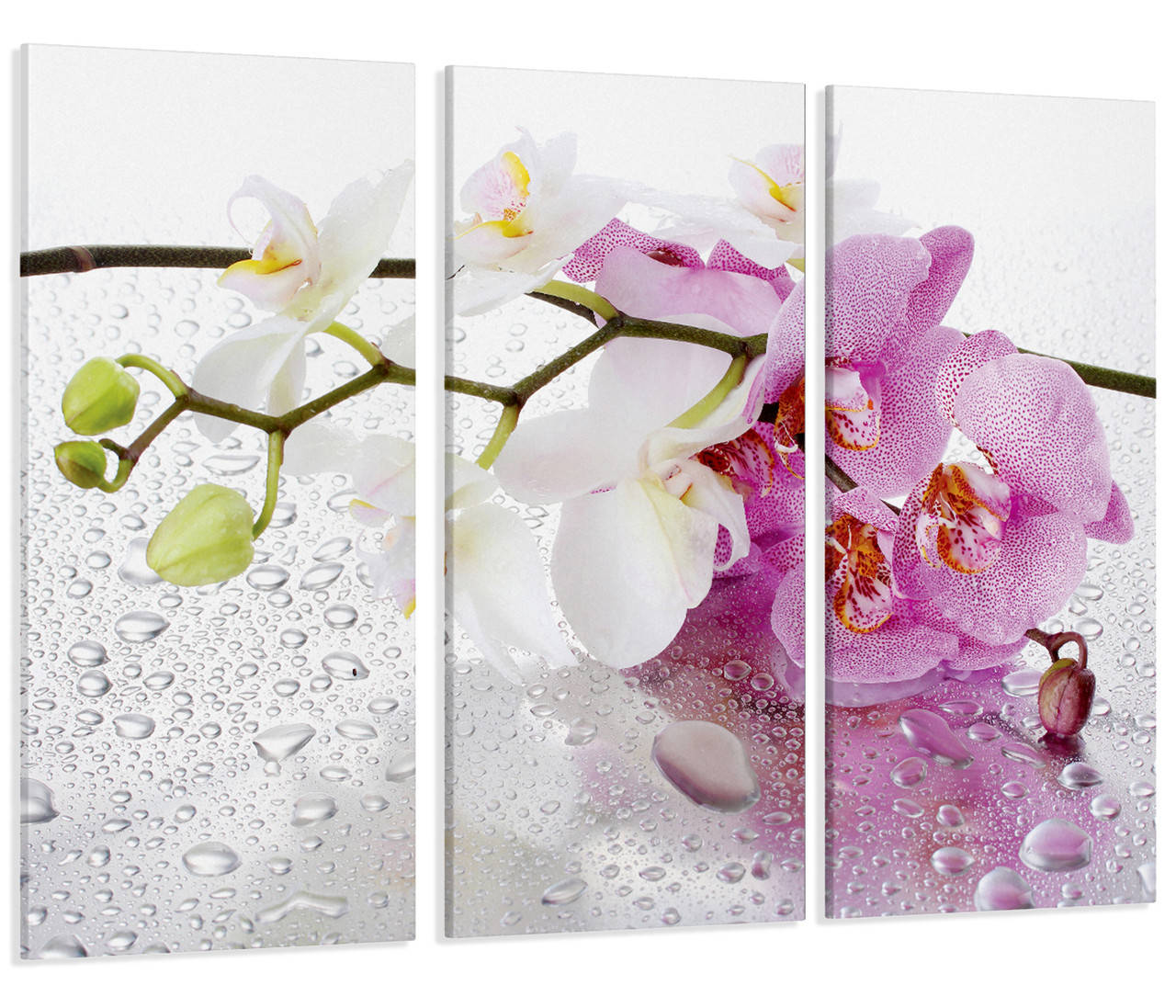 

Модульная картина Цветы Орхидея Art-15_XXL 53х100 см