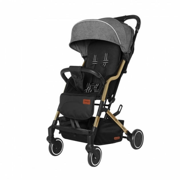 

Коляска прогулочная CARRELLO Smart CRL-5504 City Grey +дождевик S, Серый