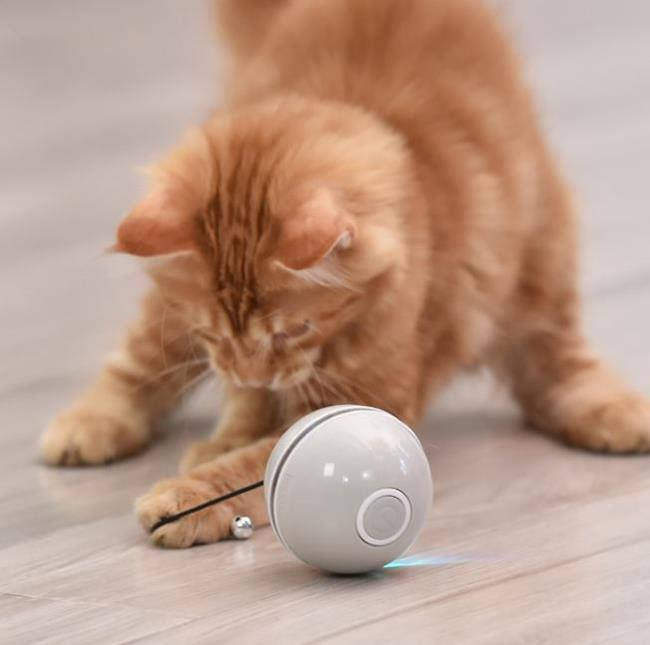 

Игрушка для кошек Мячик с лазером Доганяйка CatNip LED интерактивная серый
