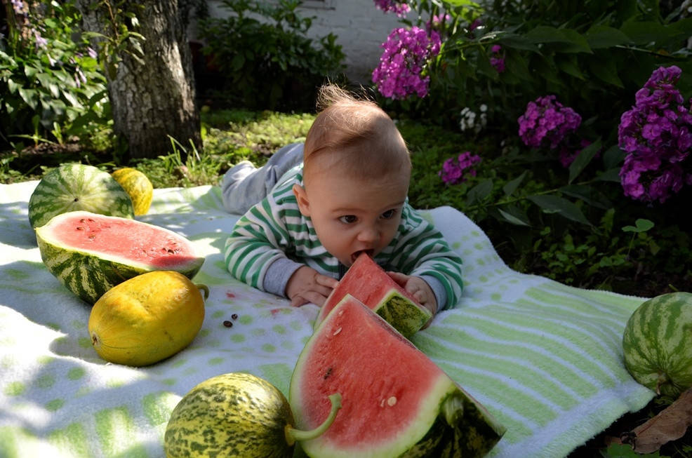 

Арбуз Рахат Лукум