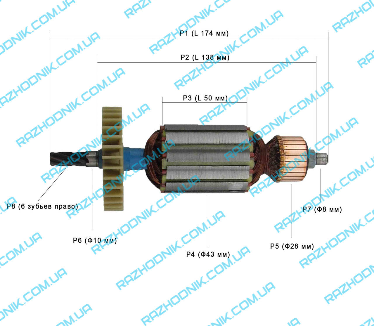 

Якорь на дисковую пилу STURM CS50186, ЭНЕРГОМАШ ПЦ-50186