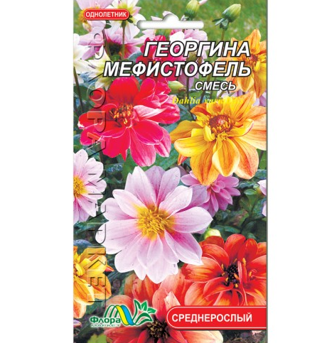 

Георгина Мефистофель цветы однолетние, семена 0.2 г