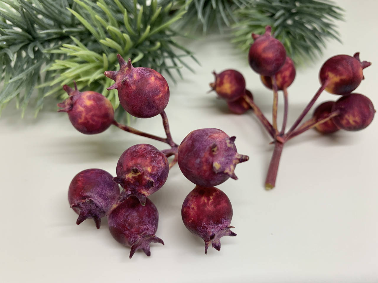 

Гроздь шиповника бордово-желтого