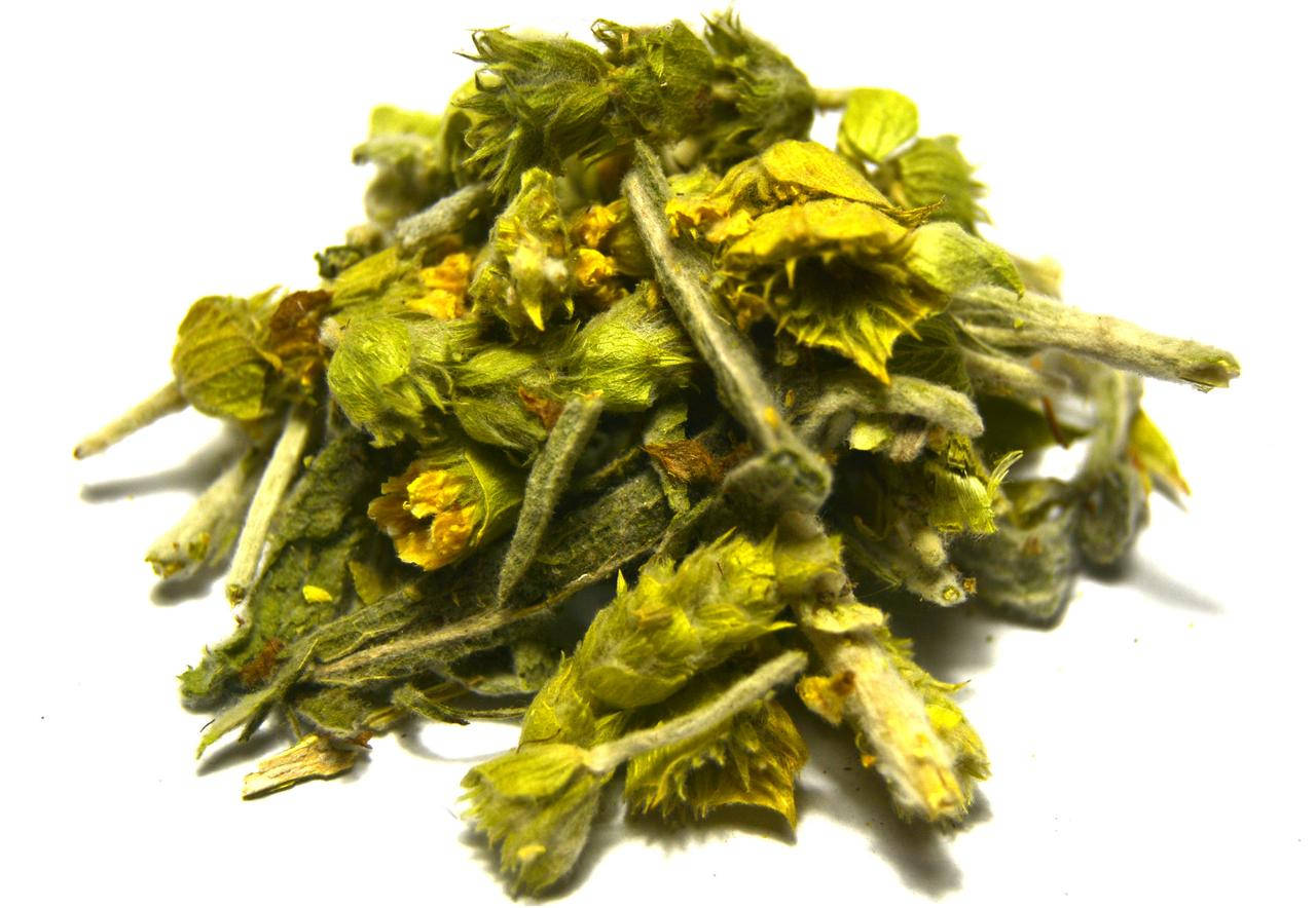 

Лимонник крымский (железница)