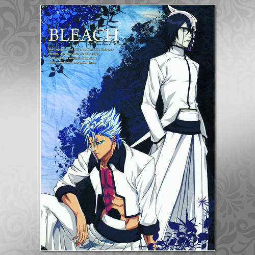 

Плакат Аниме Bleach 045