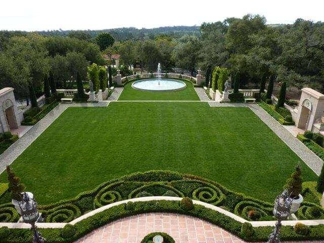 

Семена газонной травы , Английский газон , мини газон , Урожай 2021