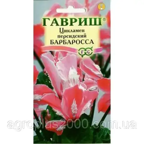 

Семена Цикламен персидский Барбаросса 3 сем Гавриш, Розовый