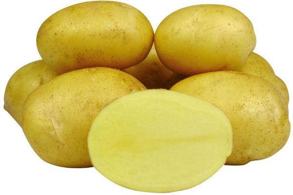 

Картофель семенной Джелли 1 кг среднеранняя 1 репродукция Europlant